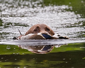 20130713-MHB2-0097.jpg