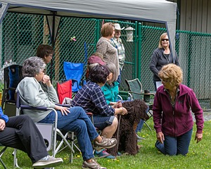 20190512-BD-0043.jpg