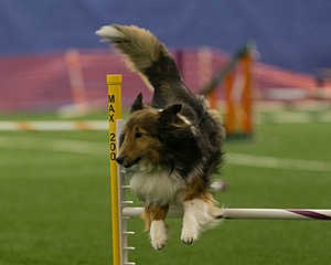 20150321-LEAP-1323.jpg