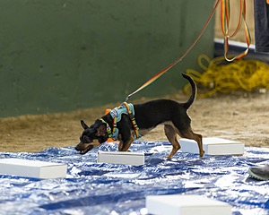 20260718-NSKC-0017.jpg
