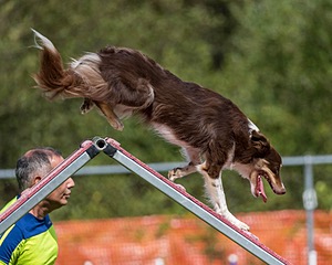 20200819-2407.jpg