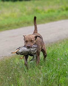 20130713-MHB2-0146.jpg