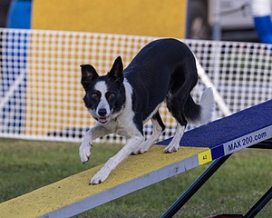 20230916-PVKC-1749.jpg