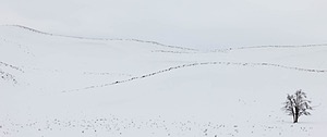 20220210-5168.jpg