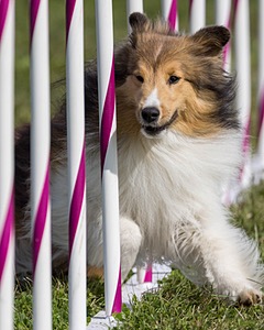 20230916-PVKC-1250.jpg