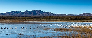 20151206-3025.jpg