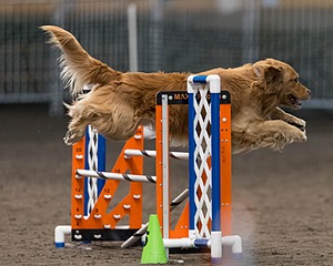 Pup-Pup Beaulieu