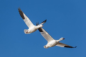 20151206-3242.jpg