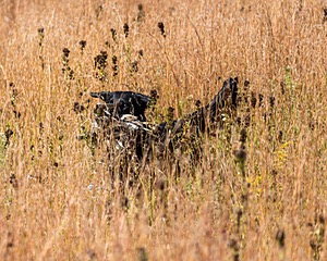 20191005-WCL-0033.jpg