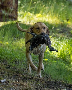 20220604-SHW-2016.jpg