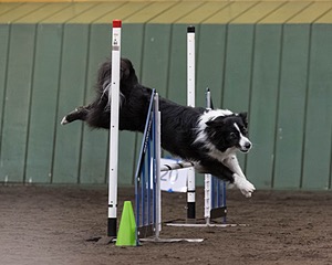 Breeze Schunk