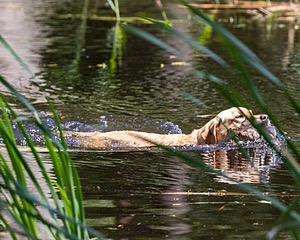 20200809-SHW-0057.jpg