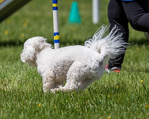20170520-NEAT-1587.jpg