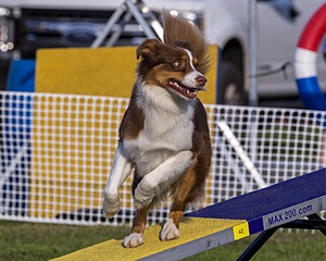 20230916-PVKC-1696.jpg