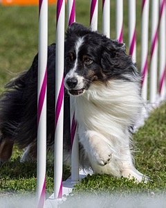 20230916-PVKC-1202.jpg