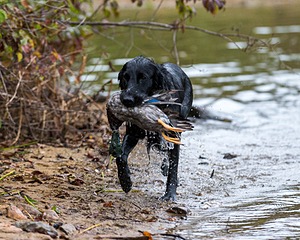 20161008-WCXW-0703.jpg