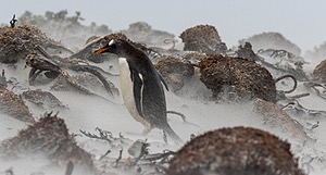 20191216-0305.jpg