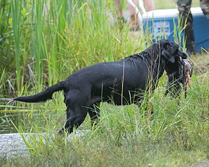 20130713-MHB2-0010.jpg