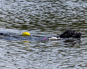 Rory Cox