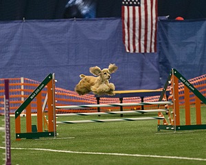 20150321-LEAP-1283.jpg