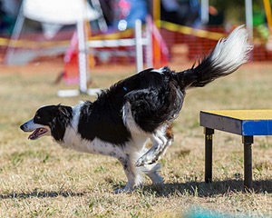 20160618-CCKC-0148.jpg
