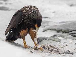 20191209-0546.jpg