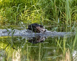 20210606-FINW-0416.jpg