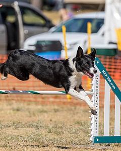 20160619-CCKC-1804.jpg