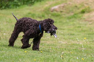 20190512-BD-0074.jpg