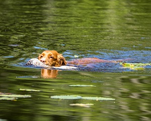 20220604-SHW-2395.jpg