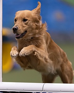 20260221-0209.jpg