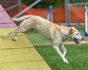 20200819-1862.jpg