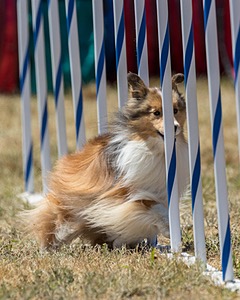 20160618-CCKC-1894.jpg
