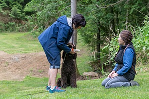20190512-BD-0162.jpg