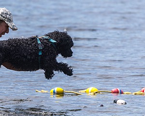 Emma Ratner
