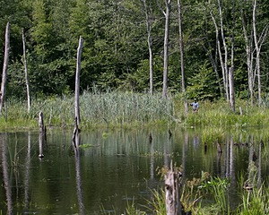 20140810-C-0055.jpg
