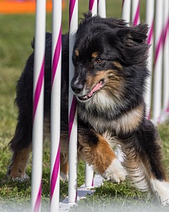 20230916-PVKC-1349.jpg