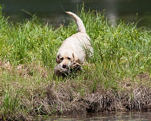 20130602-SEAW-0026.jpg