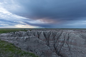 20200618-1383.jpg