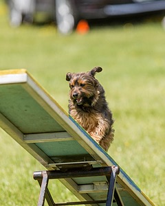 20170521-NEAT-1062.jpg