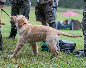 20150913-C-0016.jpg