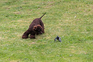 20190512-BD-0012.jpg