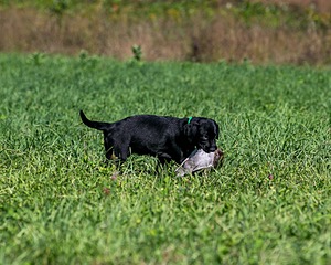20150912-C-0021.jpg