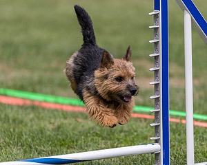 20200819-1789.jpg