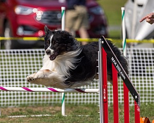 Dobby Benjamin
