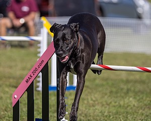 20230917-PVKC-0016.jpg