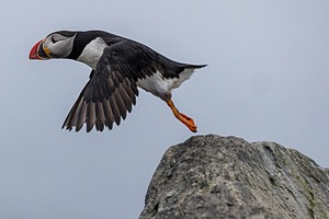20230711-1361.jpg