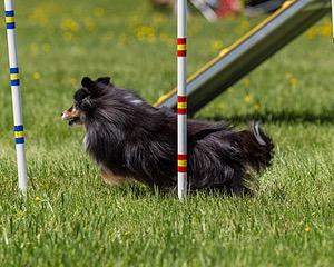 20170520-NEAT-1527.jpg