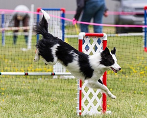 20160515-NEAT-1214.jpg
