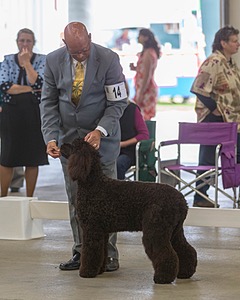 20190517-CO-0690.jpg